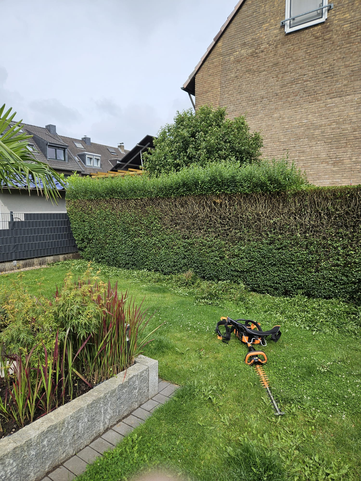 Über mich 1 Hecke wird geschnitten mit elektrischem Heckentrimmer