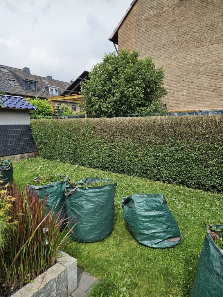 Heckenschnitt in einem privaten Garten