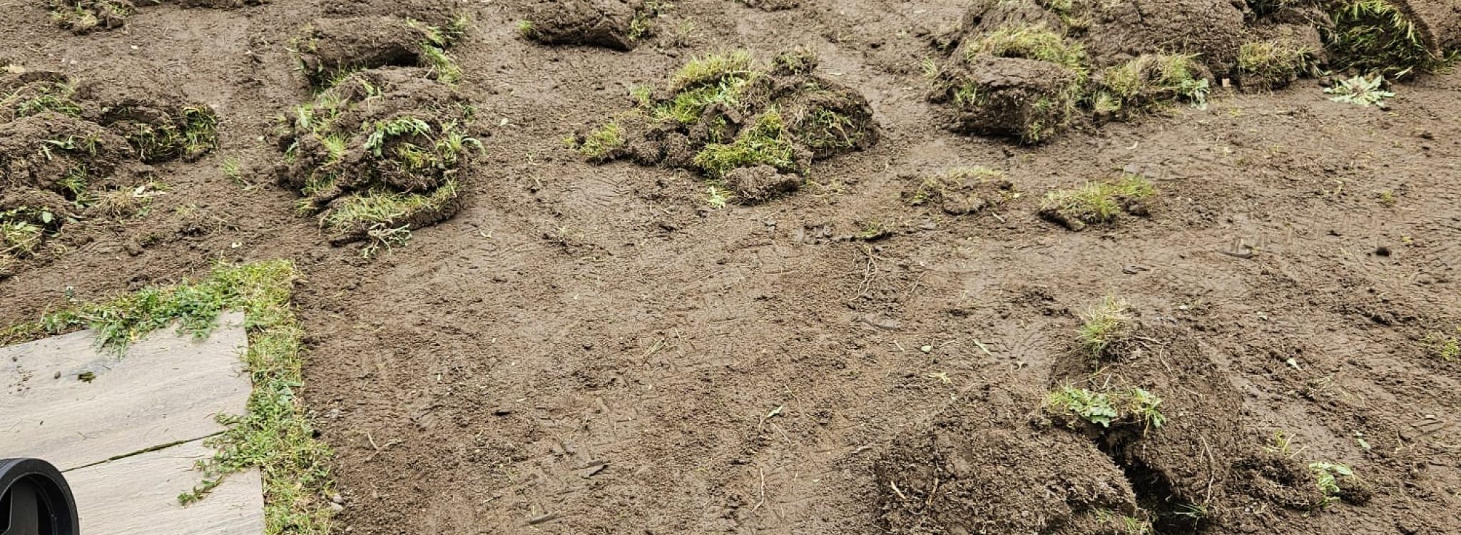 Rasenverlegen Neuer Rasen wird verlegt